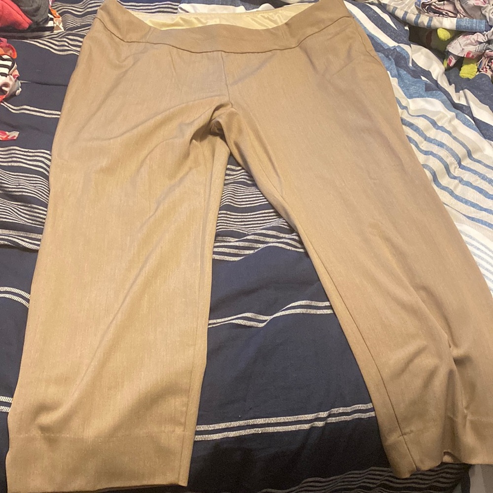 Investments tan slacks size 20W